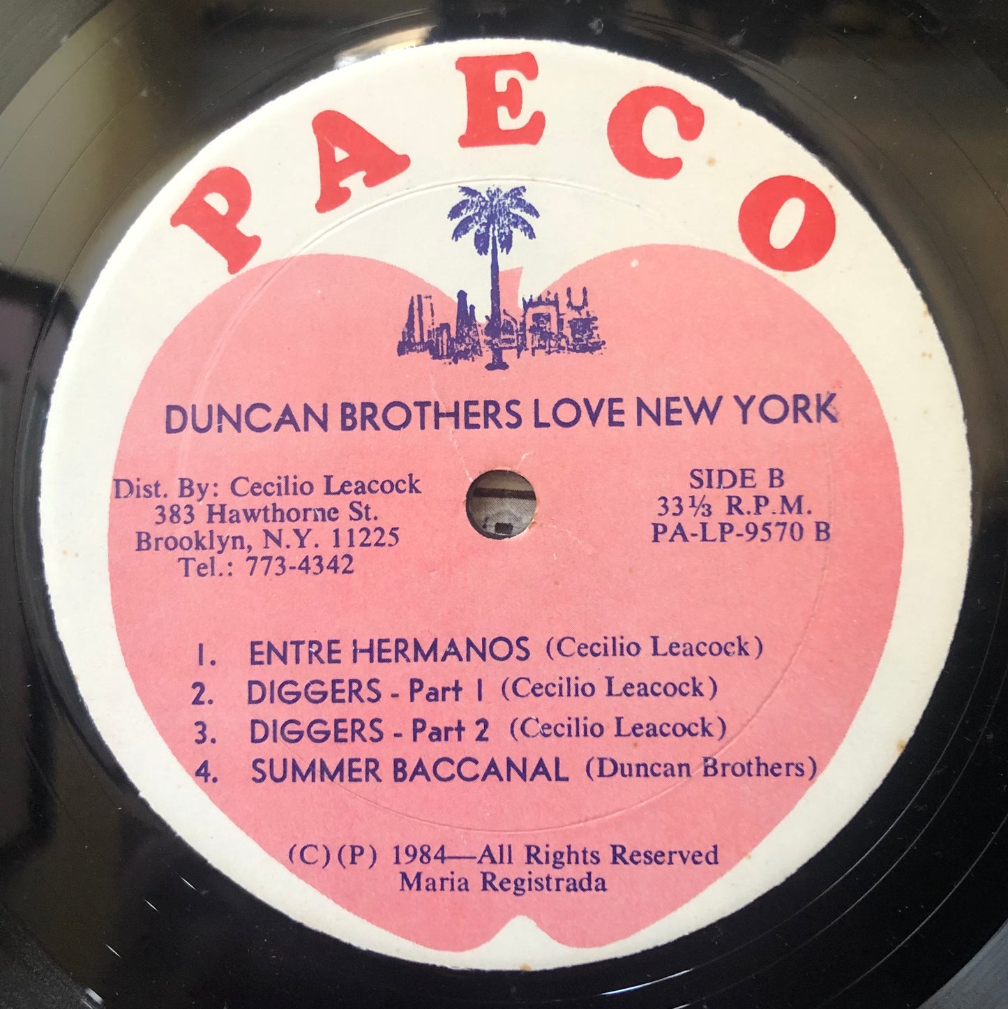 The Duncan Brothers - Love New York Private press Calypso/Reggae 1984