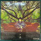 Anon Duul II - Tanz Der Lemminge 1st Press Germany 1971 Liberty Krautrock