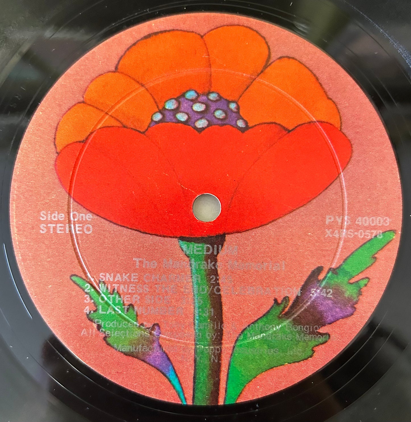 Mandrake Memorial - Medium 1st press 1969 Poppy Promo Psych