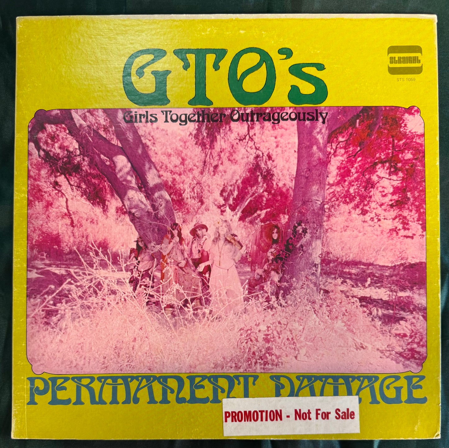GTO's - Permanent Damage 1st Press 1969 Promo Straight