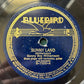 Sonny Boy Williamson - Sunny Land/My Little Cornelius Rare 1938 Pre-War Blues 78